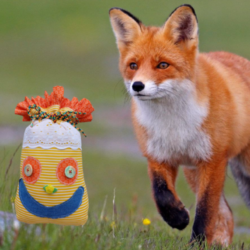 Watti trifft einen Fuchs