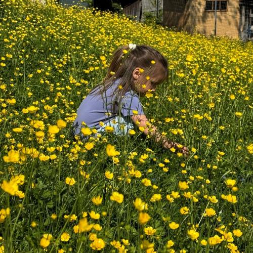 bei den Blumen
