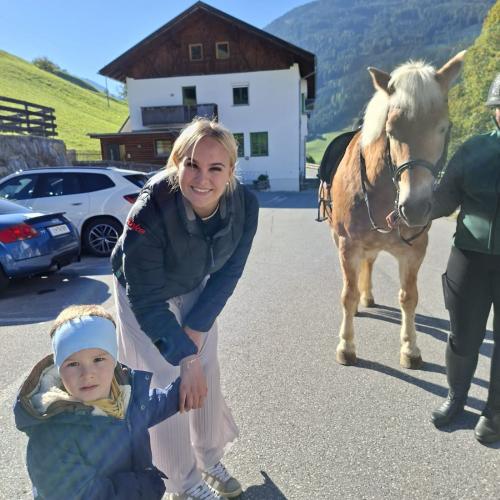 Pferd 20
