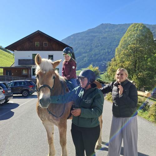 Pferd 26