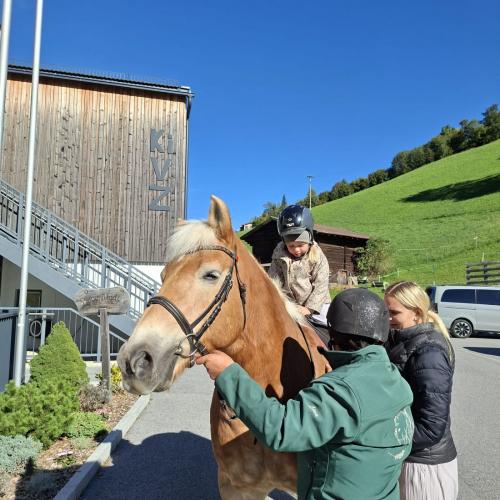 Pferd 28