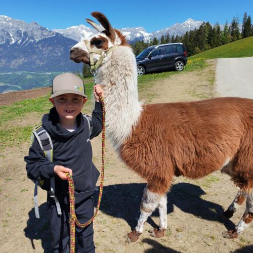 Lama