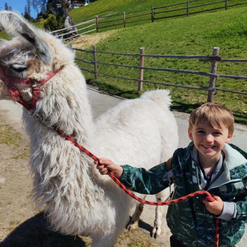 Lama