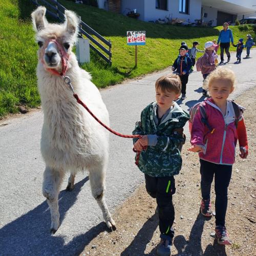 Lama