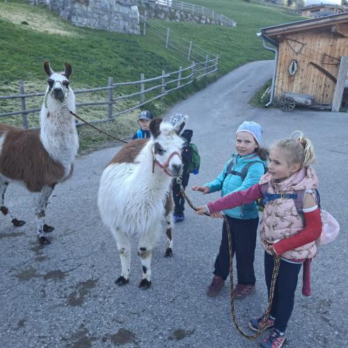 Lama