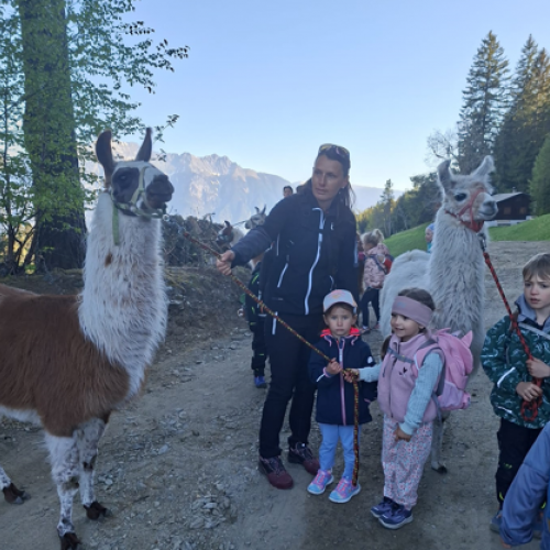 Lama