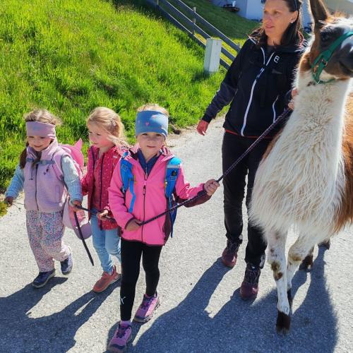 Lama