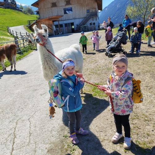 Lama
