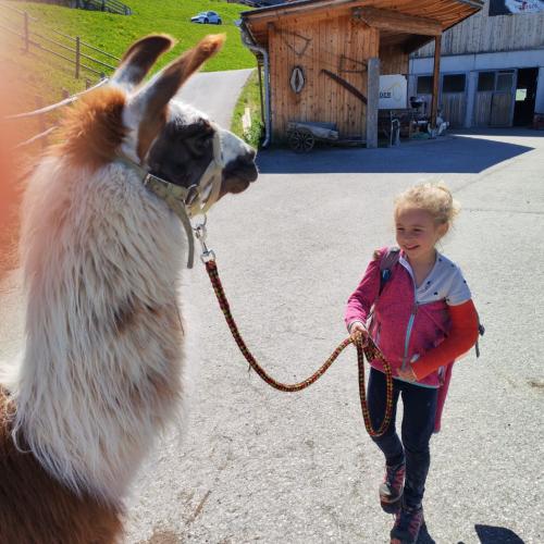 Lama
