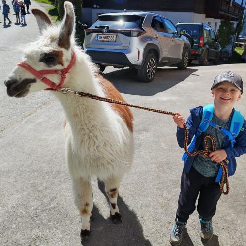 Lama