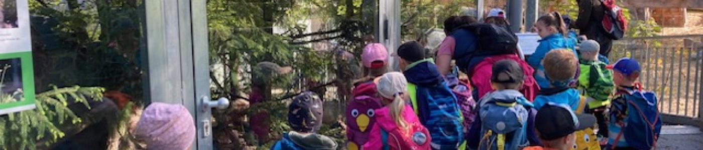 Kinder betrachten die Wildkatze