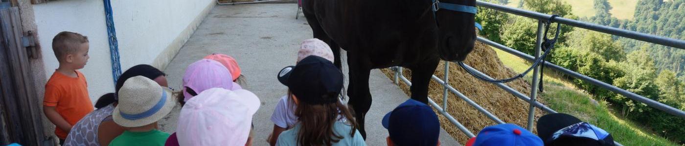 Kinder betrachten ein Pferd