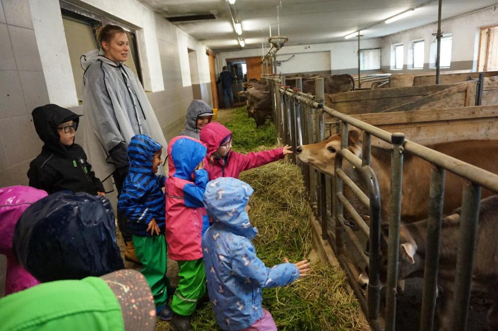 Kinder im Stall