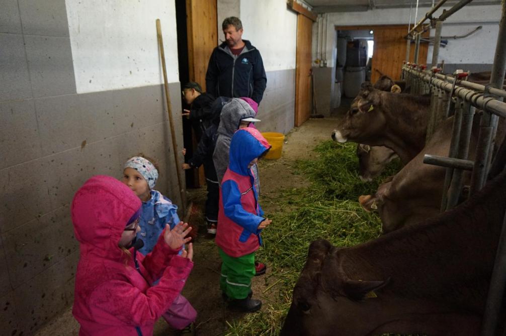 Kinder im Stall