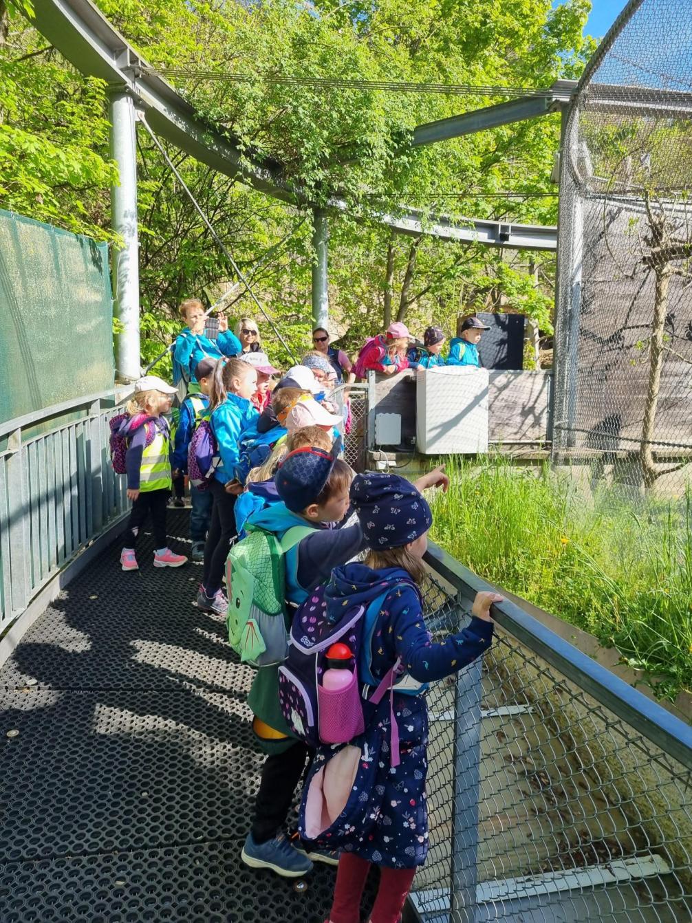 Kinder betrachten die Wildkatze