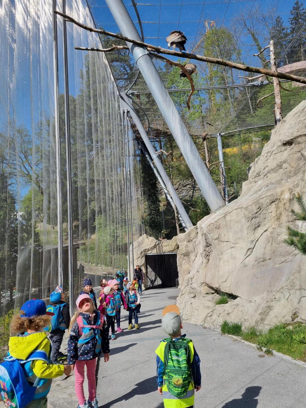 Kinder sind bei den Geiern