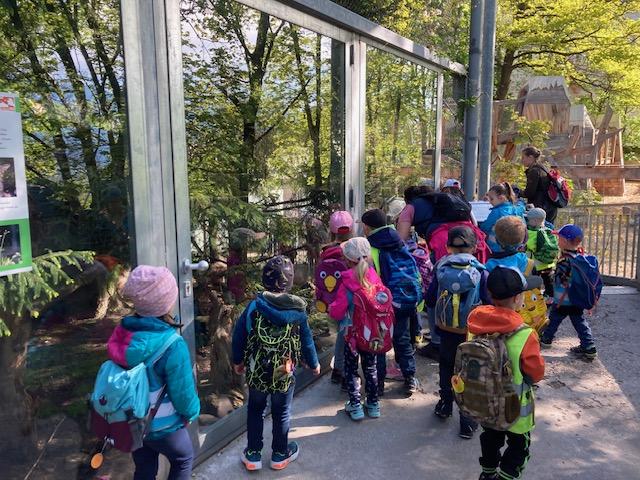 Kinder betrachten die Wildkatze