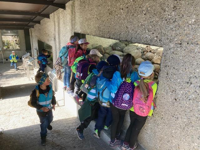 Kinder sind bei den Echsen