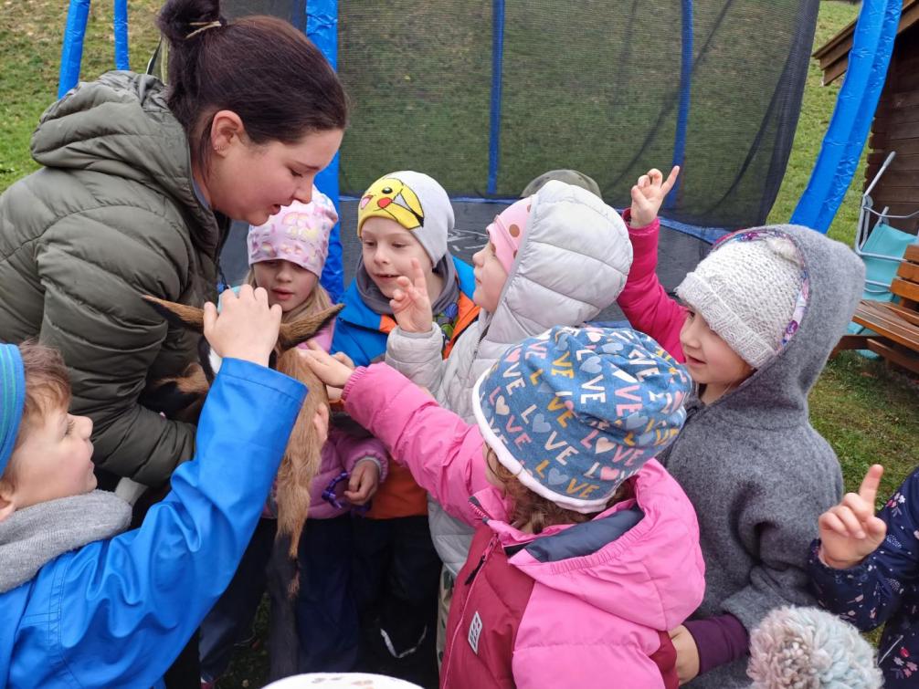 Kinder streicheln ein Ziegenkitz