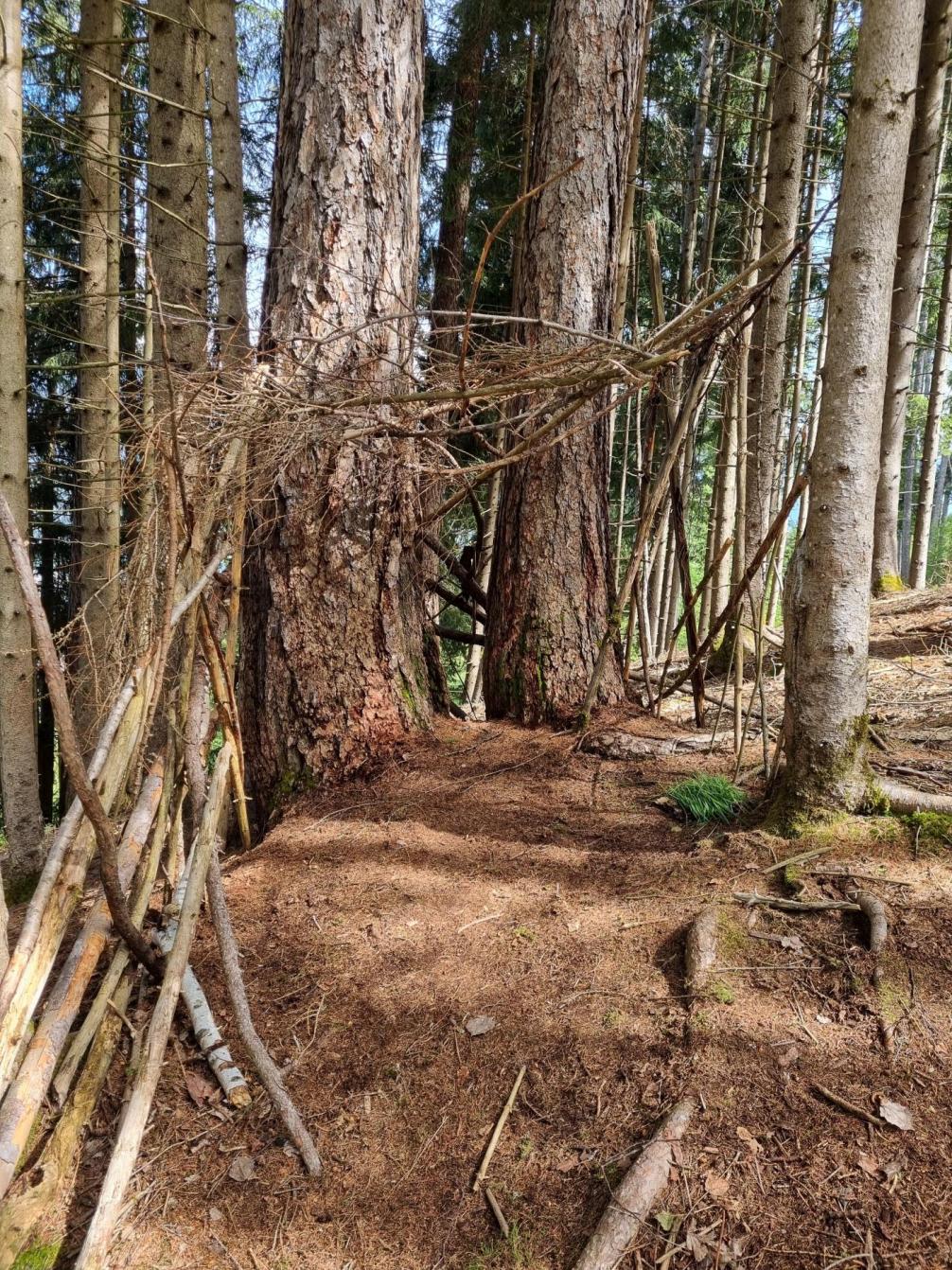 Waldhaus für Rehe