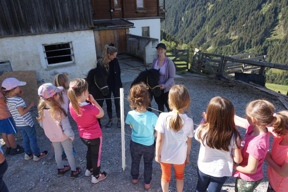 Kinder bestaunen ein Pony