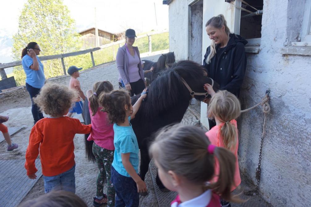 Kinder dürfen ein Pony striegeln