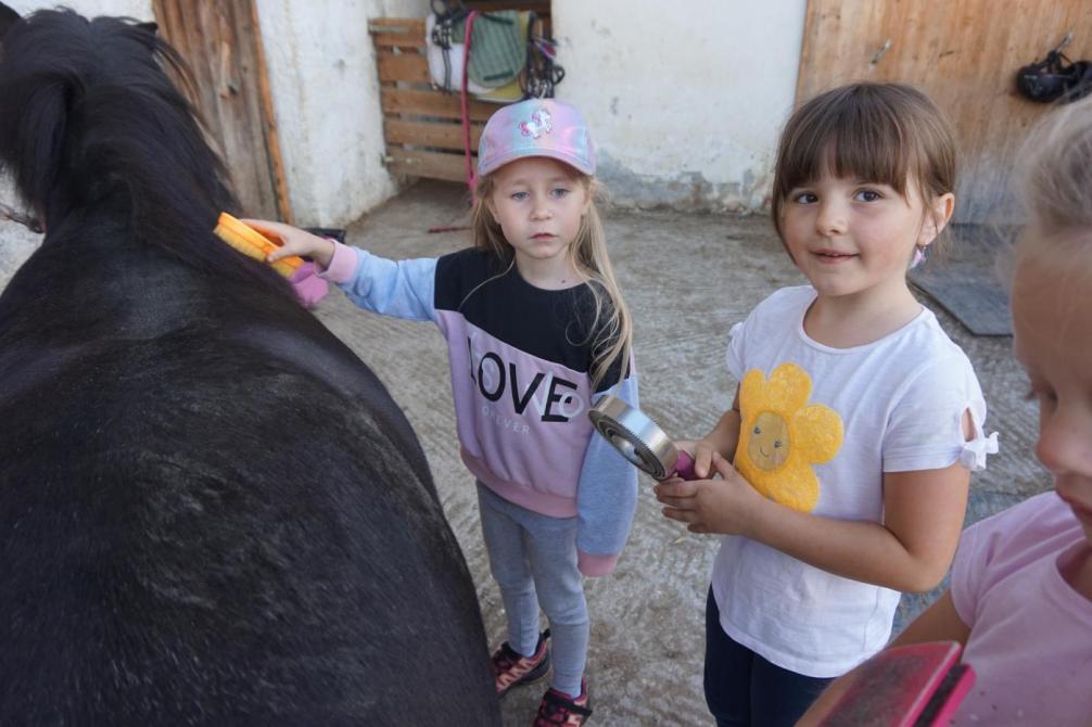 Kinder beim striegeln