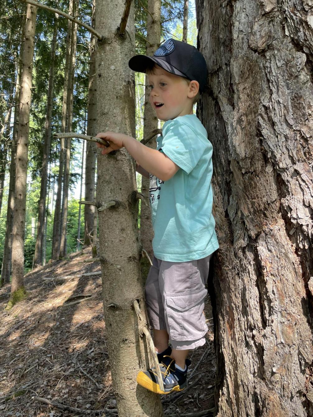 Waldnachmittag