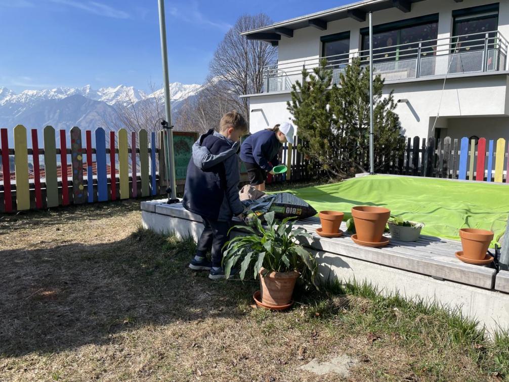 Zimmerpflanzen umtopfen