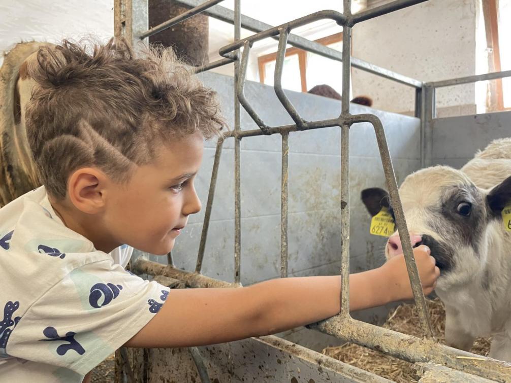 Miteinandturnen am Rieserhof