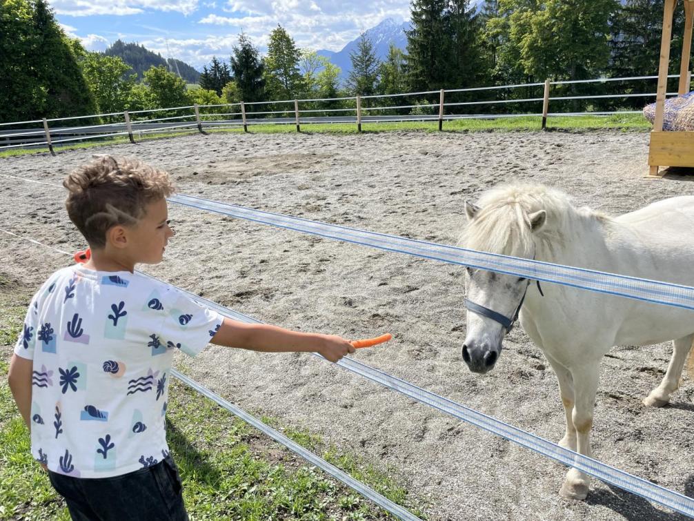 Miteinandturnen am Rieserhof