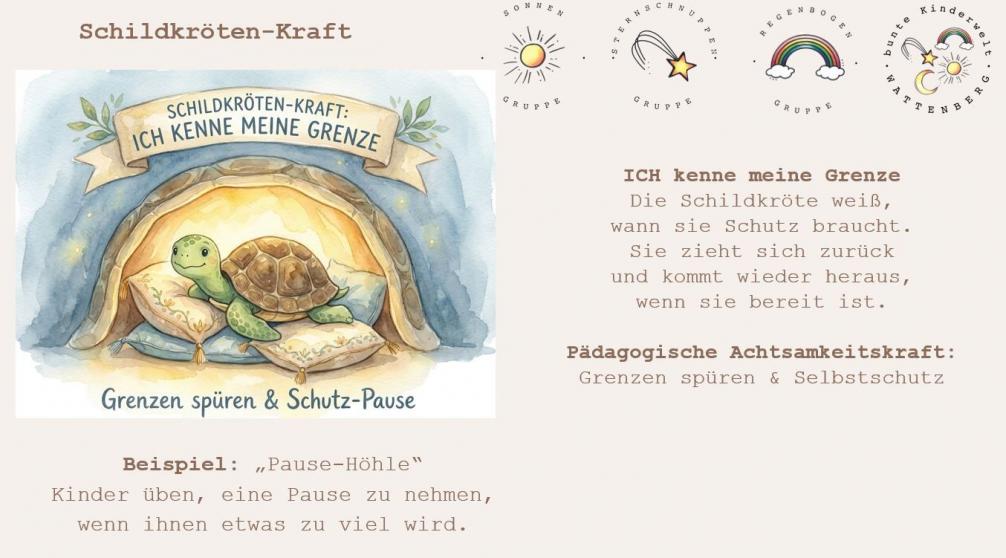schildkröte
