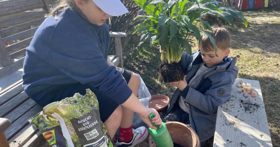 Zimmerpflanzen umtopfen