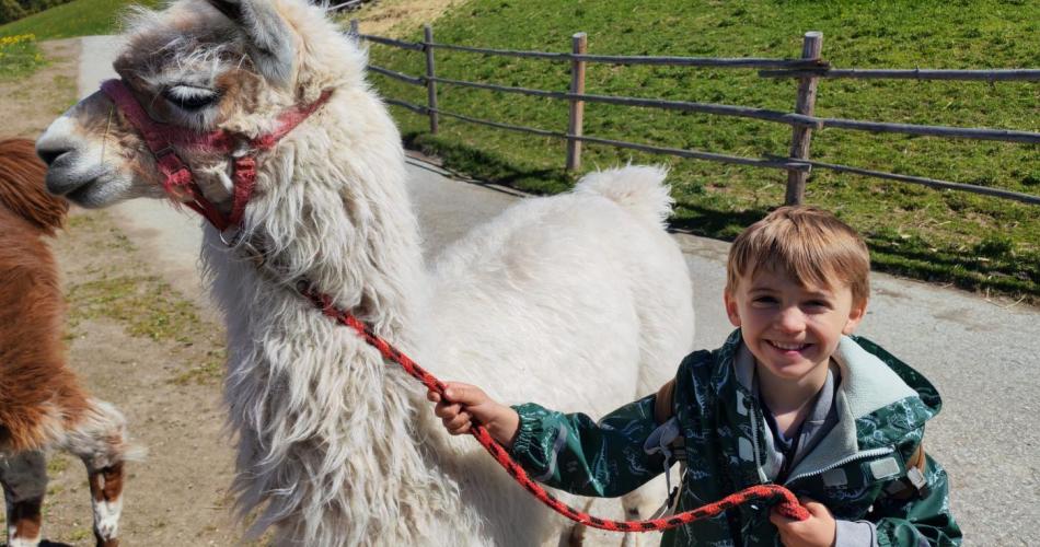 Lama