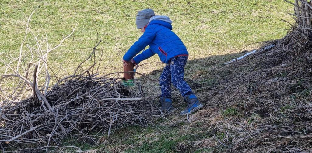 Nestfund Kind findet Nest