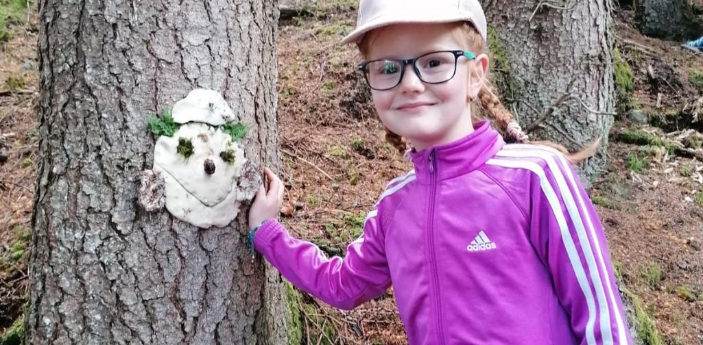 Baumgesicht Baumgesicht