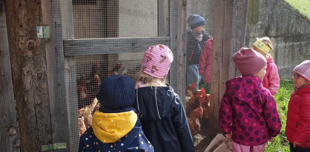 Kinder beim Hennenstall