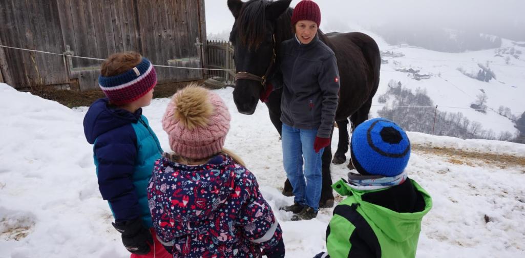 uns wird sissi erklärt