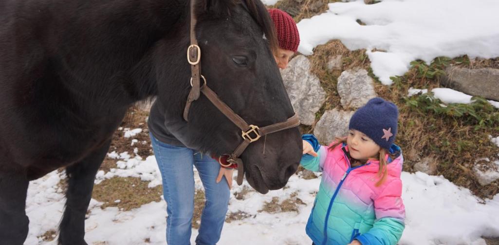 kind streichelt sissi