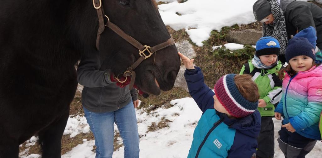 kind streichelt sissi