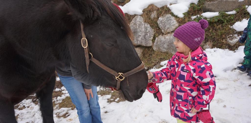 kind streichelt sissi