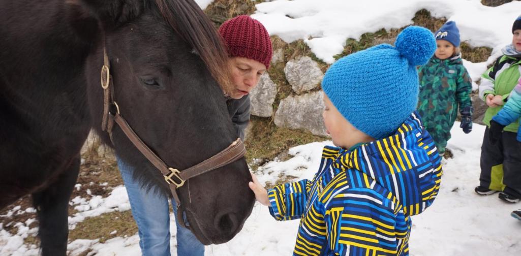 kind streichelt sissi