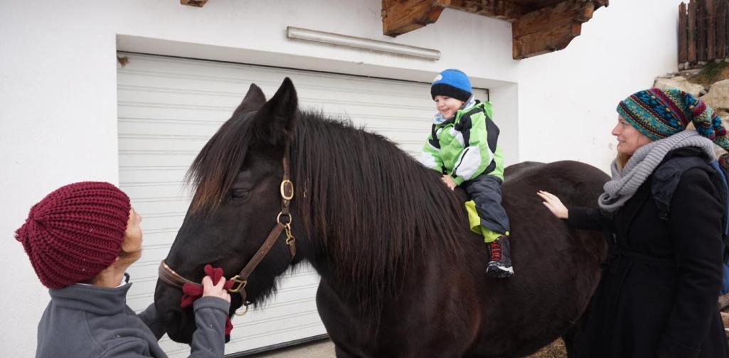 kind sitzt auf sissi