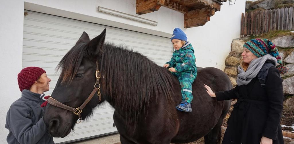 kind sitzt auf sissi