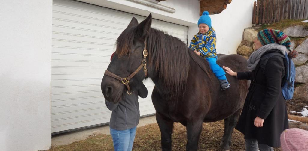 kind sitzt auf sissi