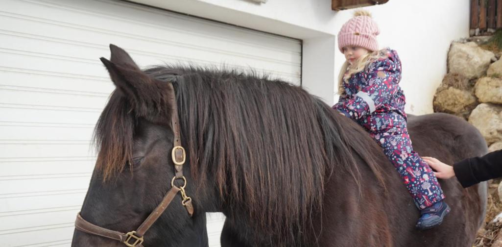 kind sitzt auf sissi