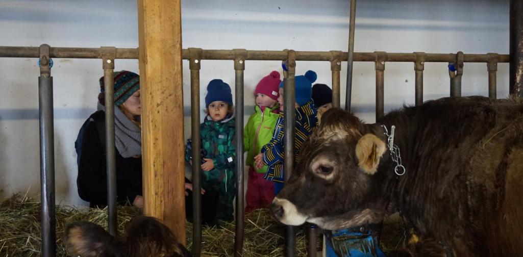 kinder im stall