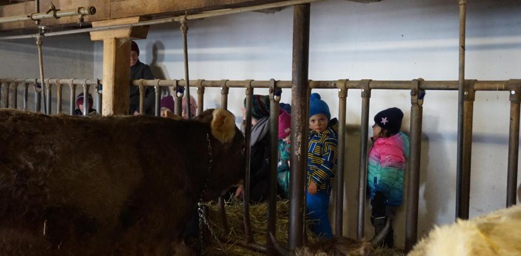 kinder im stall