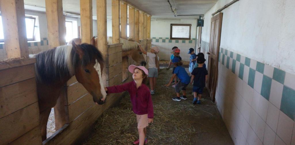 Kinder im Stall