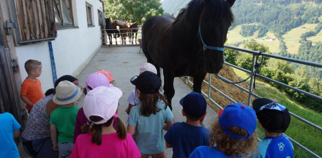 Kinder betrachten die Pferde